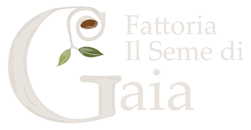 logotype