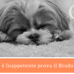 Inappetenza del Cane: un Aiuto dal Brodo Vegetale