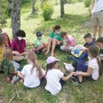 educazione-in-rifugio-animali-sicilia