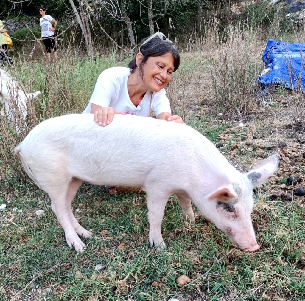 maialina pippi
